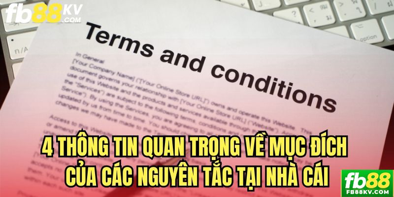 4 thông tin quan trọng về mục đích của Điều Khoản Điều Kiện fb88