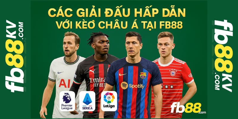 Các giải đấu tiêu biểu kèo Châu Á fb88