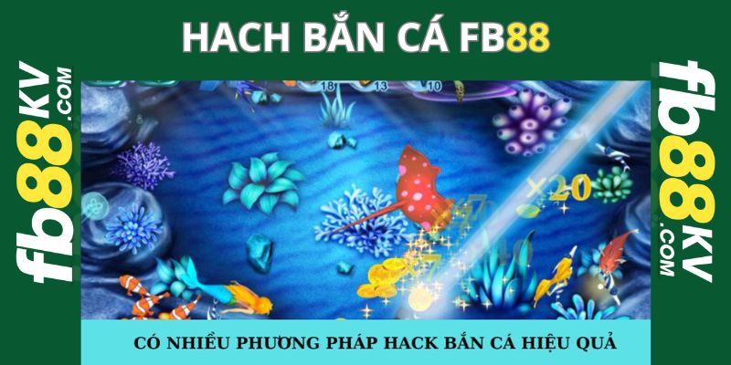 Có nhiều phương pháp hack bắn cá hiệu quả