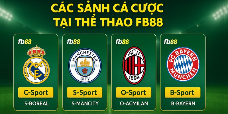 Các sảnh cược tiêu biểu tại thể thao fb88