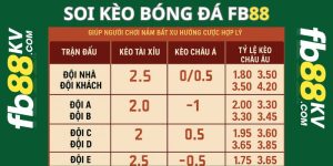 Soi kèo bóng đá fb88